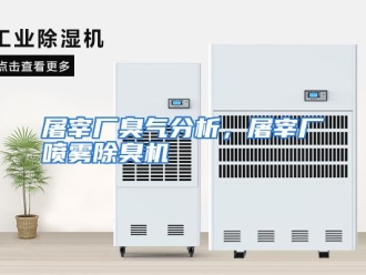 行业资讯屠宰厂臭气分析，屠宰厂喷雾除臭机