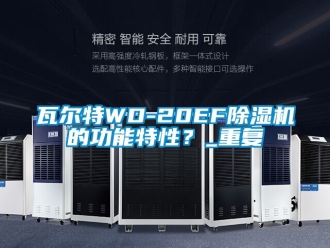 行业资讯瓦尔特WD-20EF除湿机的功能特性？_重复