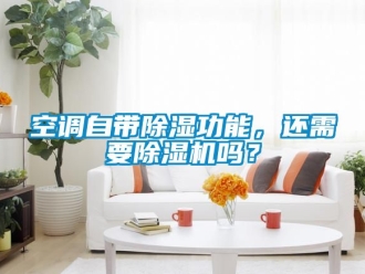 行业资讯空调自带除湿功能，还需要除湿机吗？