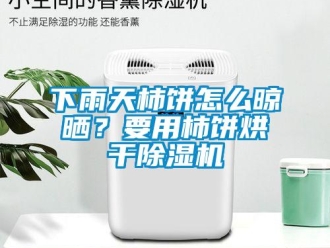 行业资讯下雨天柿饼怎么晾晒？要用柿饼烘干除湿机