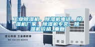 工业除湿机，除湿机电话，除湿机厂家，除湿机专卖，除湿机价格_重复