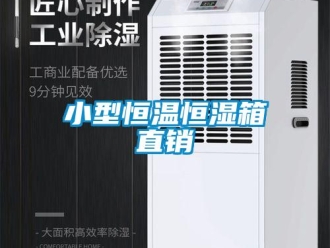 知识百科小型恒温恒湿箱直销