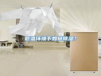 常见问题低温环境下如何除湿？