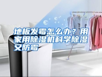 常见问题地板发霉怎么办？用家用除湿机科学除湿又防霉
