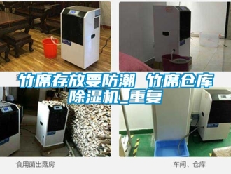 企业动态竹席存放要防潮 竹席仓库除湿机_重复