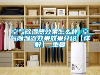 行业资讯空气除湿器效果怎么样 空气除湿器效果效果介绍【详解】_重复
