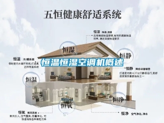 知识百科恒温恒湿空调机概述
