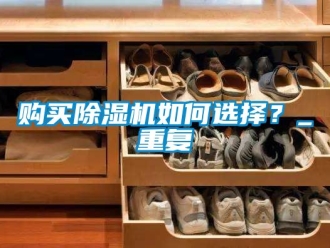 行业资讯购买除湿机如何选择？_重复