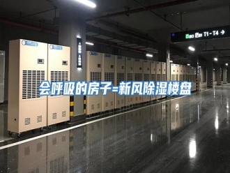 知识百科会呼吸的房子=新风除湿楼盘