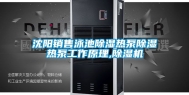 沈阳销售泳池除湿热泵除湿热泵工作原理,除湿机