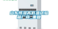 山东恒湿高低温试验箱厂商_重复