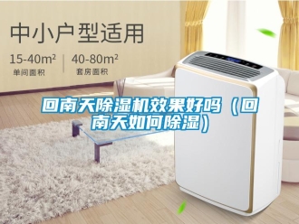 行业资讯回南天除湿机效果好吗（回南天如何除湿）