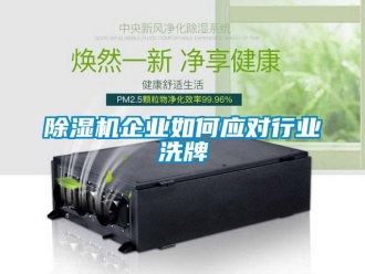 常见问题除湿机企业如何应对行业洗牌