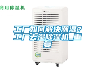 行业资讯工厂如何解决潮湿？工厂去湿除湿机_重复