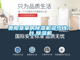 行业资讯贵阳桑拿房除湿机多少钱一台,除湿机