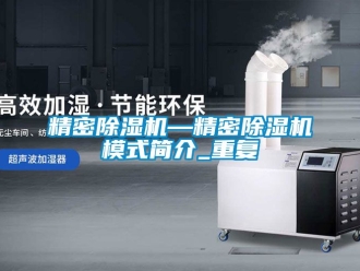 行业资讯精密除湿机—精密除湿机模式简介_重复