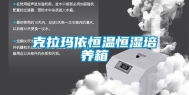 克拉玛依恒温恒湿培养箱