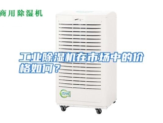 常见问题工业除湿机在市场中的价格如何？