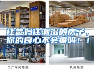 常见问题让爸妈住潮湿的房子，你的良心不会痛吗！！