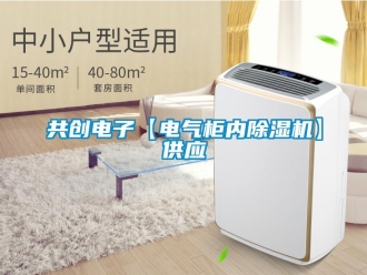 行业资讯共创电子【电气柜内除湿机】供应