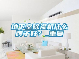 行业资讯地下室除湿机什么牌子好？_重复