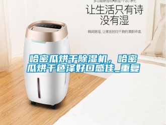 行业资讯哈密瓜烘干除湿机，哈密瓜烘干色泽好口感佳_重复