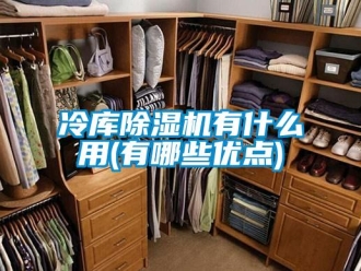 行业资讯冷库除湿机有什么用(有哪些优点)