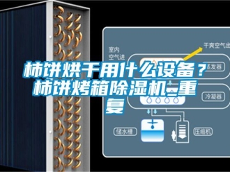 行业资讯柿饼烘干用什么设备？柿饼烤箱除湿机_重复