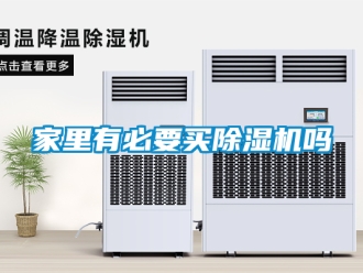 行业资讯家里有必要买除湿机吗