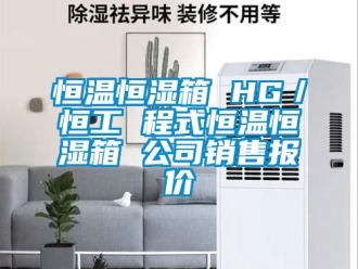 知识百科恒温恒湿箱 HG／恒工 程式恒温恒湿箱 公司销售报价