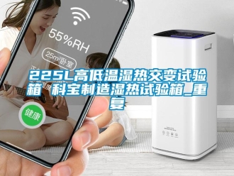 常见问题225L高低温湿热交变试验箱 科宝制造湿热试验箱_重复