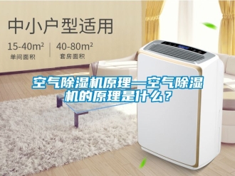 行业资讯空气除湿机原理—空气除湿机的原理是什么？