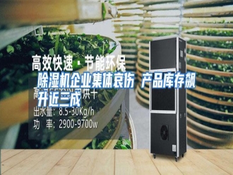 知识百科除湿机企业集体哀伤 产品库存飙升近三成