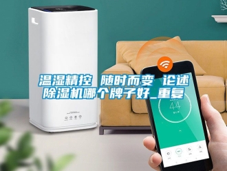 行业资讯温湿精控 随时而变 论述除湿机哪个牌子好_重复