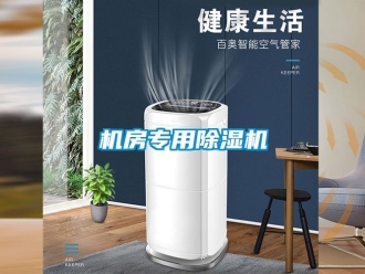 行业资讯机房专用除湿机