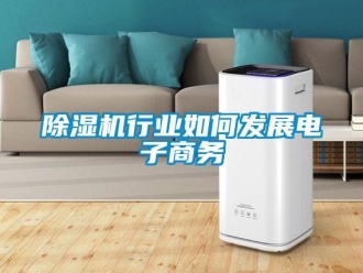 常见问题除湿机行业如何发展电子商务