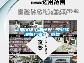 企业动态湿度仪哪个牌子好 专业除湿机厂家？_重复