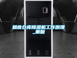 企业动态粮食仓库除湿机工作原理_重复
