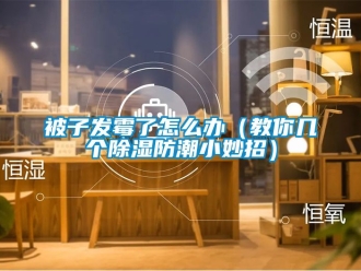 企业动态被子发霉了怎么办（教你几个除湿防潮小妙招）