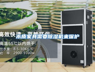 行业资讯木质家具需要除湿机来保护