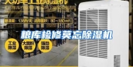 粮库检修莫忘除湿机
