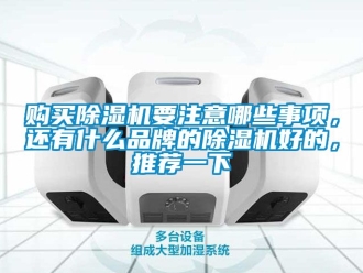 企业动态购买除湿机要注意哪些事项，还有什么品牌的除湿机好的，推荐一下