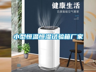 知识百科小型恒温恒湿试验箱厂家