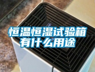 知识百科恒温恒湿试验箱有什么用途