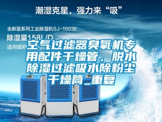 行业资讯空气过滤器臭氧机专用配件干燥管，脱水除湿过滤吸水除粉尘干燥筒_重复