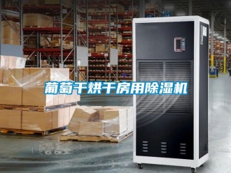 行业资讯葡萄干烘干房用除湿机