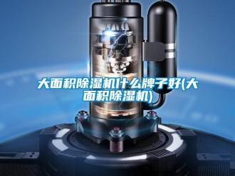 行业资讯大面积除湿机什么牌子好(大面积除湿机)