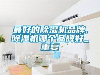 企业动态最好的除湿机品牌,除湿机哪个品牌好_重复