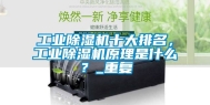 工业除湿机十大排名，工业除湿机原理是什么？_重复