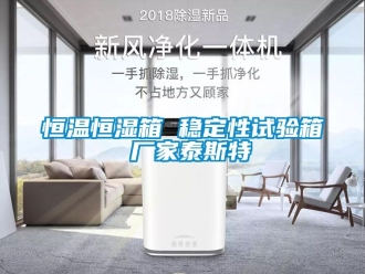 知识百科恒温恒湿箱 稳定性试验箱 厂家泰斯特